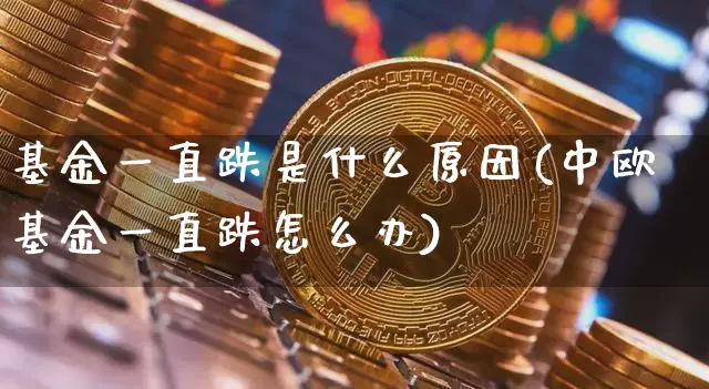 基金一直跌是什么原因(中欧基金一直跌怎么办)_以太坊_第1张_相聚币圈 基金一直跌是什么原因(中欧基金一直跌怎么办)_https://www.xjzxxn66.com_以太坊_第1张