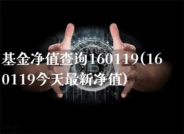 基金净值查询160119(160119今天最新净值)_https://www.xjzxxn66.com_比特币_第1张