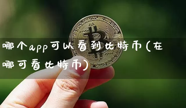 哪个app可以看到比特币(在哪可看比特币)_https://www.xjzxxn66.com_以太坊_第1张