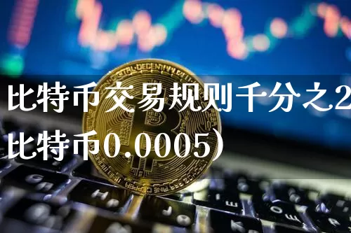 比特币交易规则千分之2(比特币0.0005)_https://www.xjzxxn66.com_比特币_第1张