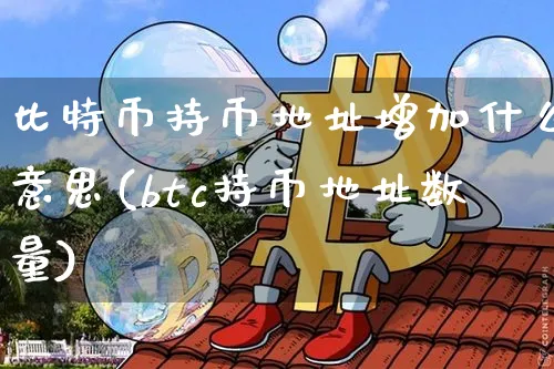 比特币持币地址增加什么意思(btc持币地址数量)_https://www.xjzxxn66.com_币圈资讯_第1张