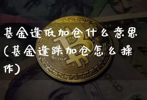 基金逢低加仓什么意思(基金逢跌加仓怎么操作)_https://www.xjzxxn66.com_区块链_第1张