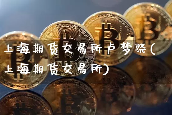 上海期货交易所卢梦骁(上海期货交易所)_https://www.xjzxxn66.com_以太坊_第1张