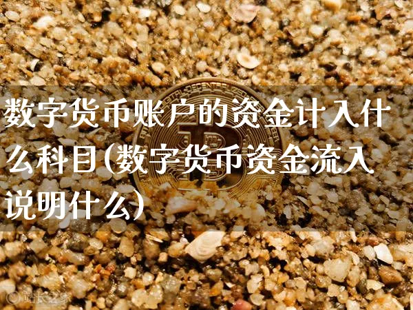 数字货币账户的资金计入什么科目(数字货币资金流入说明什么)_https://www.xjzxxn66.com_以太坊_第1张