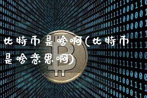 比特币是啥啊(比特币是啥意思啊)_https://www.xjzxxn66.com_币圈资讯_第1张