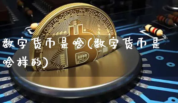 数字货币是啥(数字货币是啥样的)_https://www.xjzxxn66.com_区块链_第1张