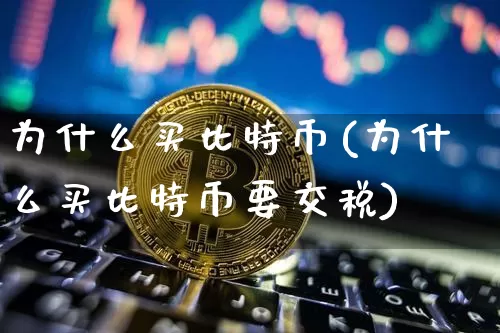 为什么买比特币(为什么买比特币要交税)_https://www.xjzxxn66.com_区块链_第1张
