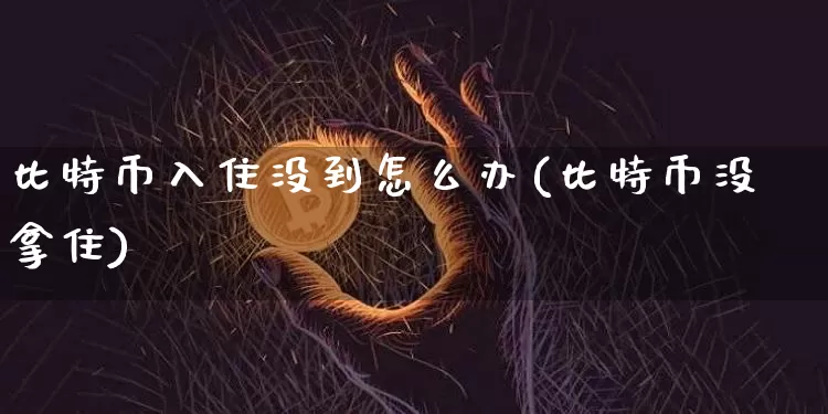 比特币入住没到怎么办(比特币没拿住)_https://www.xjzxxn66.com_以太坊_第1张