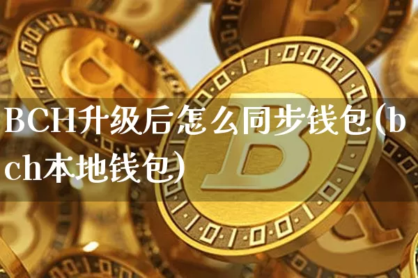 BCH升级后怎么同步钱包(bch本地钱包)_https://www.xjzxxn66.com_币圈资讯_第1张