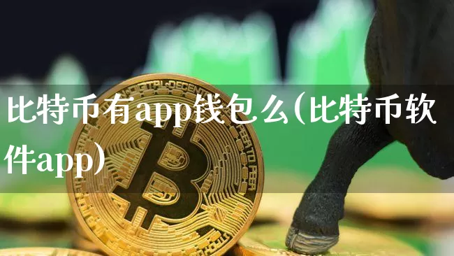 比特币有app钱包么(比特币软件app)_https://www.xjzxxn66.com_比特币_第1张