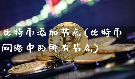 比特币添加节点(比特币网络中的所有节点)_https://www.xjzxxn66.com_区块链_第1张