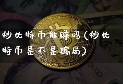 炒比特币能赚吗(炒比特币是不是骗局)_https://www.xjzxxn66.com_以太坊_第1张