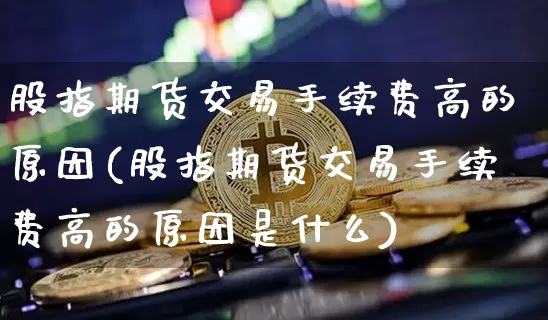 股指期货交易手续费高的原因(股指期货交易手续费高的原因是什么)_https://www.xjzxxn66.com_比特币_第1张
