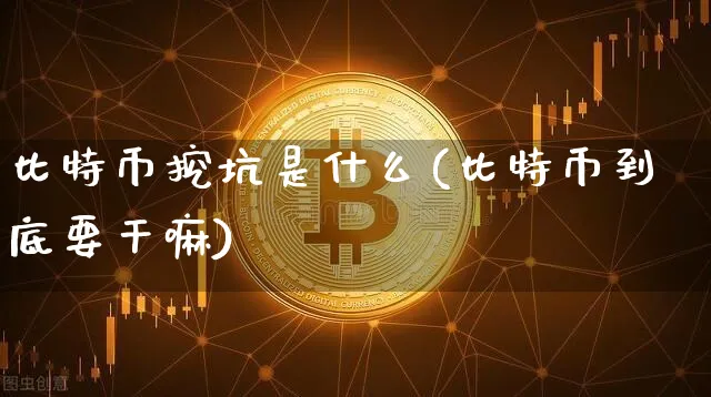 比特币挖坑是什么(比特币到底要)_https://www.xjzxxn66.com_币圈资讯_第1张