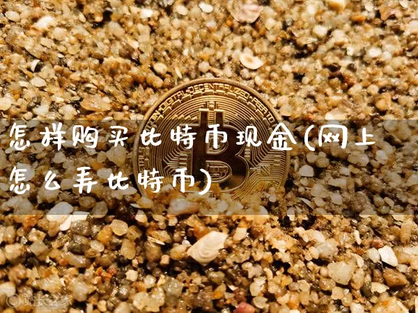 怎样购买比特币现金(网上怎么弄比特币)_https://www.xjzxxn66.com_以太坊_第1张