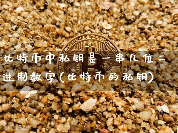 比特币中私钥是一串几位二进制数字(比特币的私钥)_https://www.xjzxxn66.com_币圈资讯_第1张