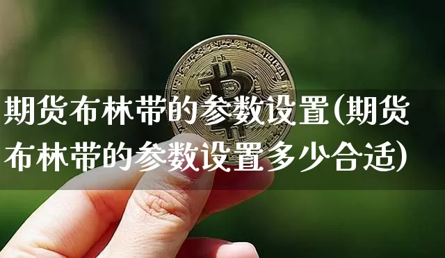 期货布林带的参数设置(期货布林带的参数设置多少合适)_https://www.xjzxxn66.com_币圈资讯_第1张