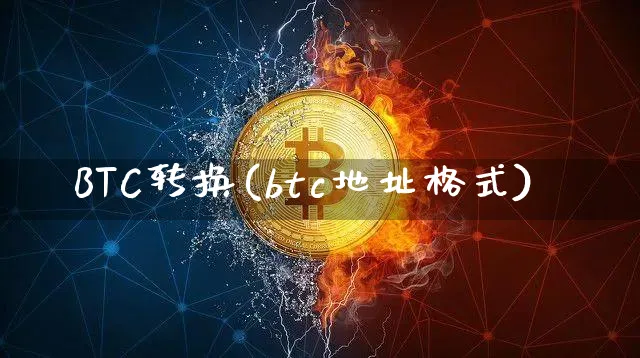 BTC转换(btc地址格式)_https://www.xjzxxn66.com_比特币_第1张