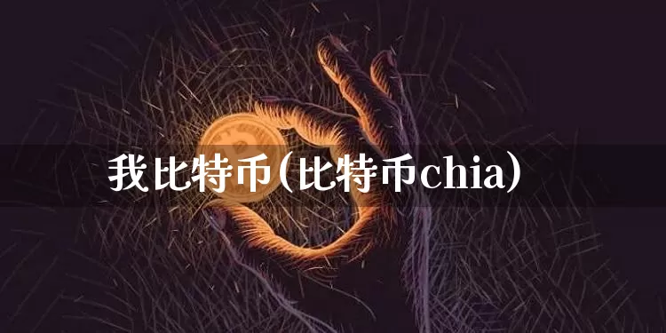我比特币(比特币chia)_https://www.xjzxxn66.com_区块链_第1张