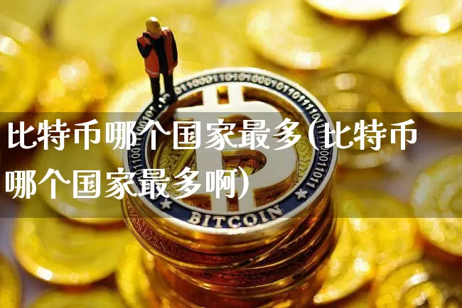 比特币哪个国家最多(比特币哪个国家最多啊)_https://www.xjzxxn66.com_区块链_第1张