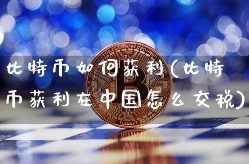 比特币如何获利(比特币获利在中国怎么交税)_https://www.xjzxxn66.com_币圈资讯_第1张
