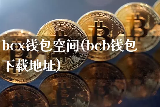 bcx钱包空间(bcb钱包下载地址)_https://www.xjzxxn66.com_以太坊_第1张