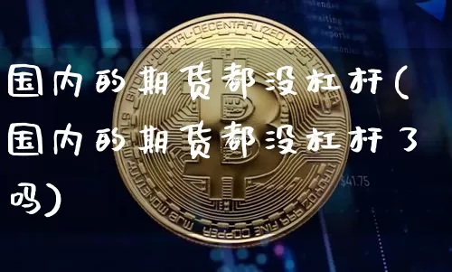 国内的期货都没杠杆(国内的期货都没杠杆了吗)_https://www.xjzxxn66.com_比特币_第1张