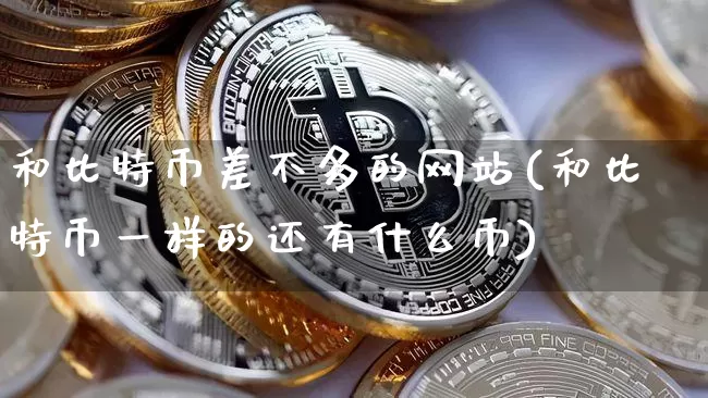 和比特币差不多的网站(和比特币一样的还有什么币)_https://www.xjzxxn66.com_比特币_第1张