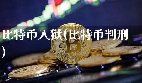 比特币入狱(比特币判刑)_https://www.xjzxxn66.com_币圈资讯_第1张