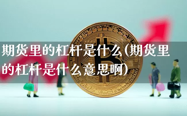 期货里的杠杆是什么(期货里的杠杆是什么意思啊)_https://www.xjzxxn66.com_以太坊_第1张