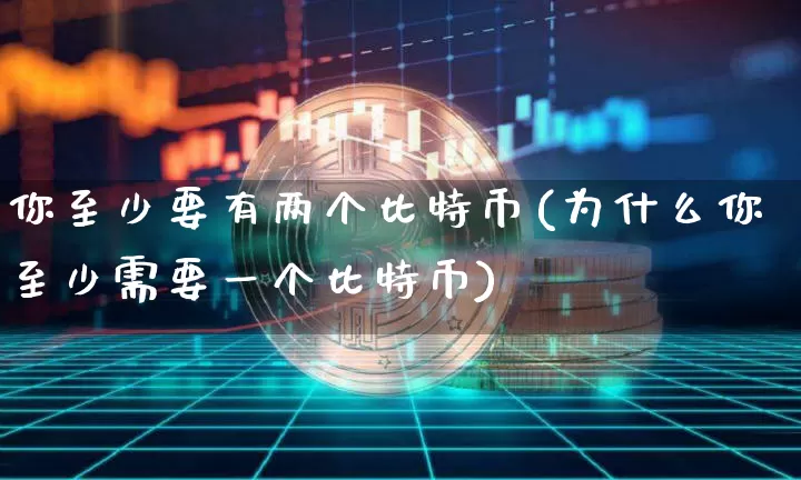 你至少要有两个比特币(为什么你至少需要一个比特币)_https://www.xjzxxn66.com_以太坊_第1张