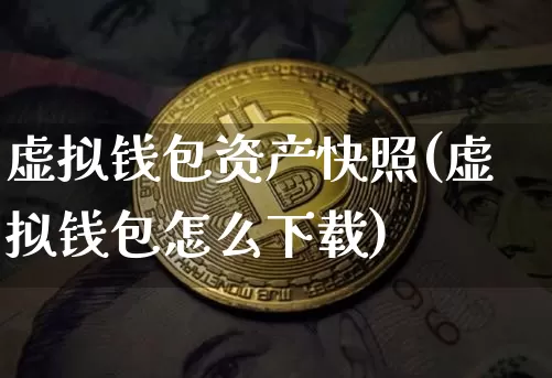 虚拟钱包资产快照(虚拟钱包怎么下载)_https://www.xjzxxn66.com_以太坊_第1张