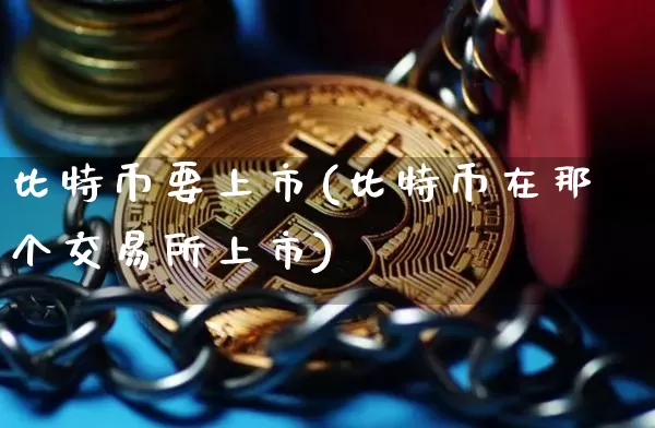 比特币要上市(比特币在那个交易所上市)_https://www.xjzxxn66.com_币圈资讯_第1张