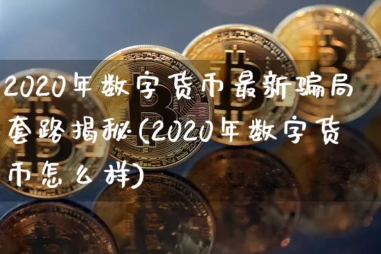2020年数字货币最新局套路揭秘(2020年数字货币怎么样)_https://www.xjzxxn66.com_币圈资讯_第1张