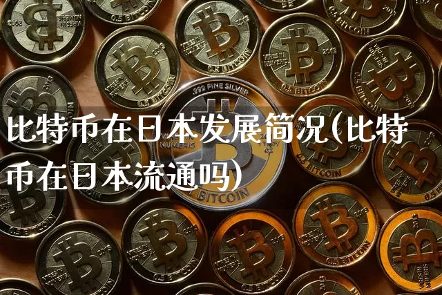 比特币在日本发展简况(比特币在日本流通吗)_https://www.xjzxxn66.com_以太坊_第1张