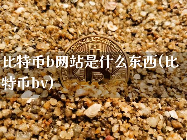比特币b网站是什么东西(比特币bv)_https://www.xjzxxn66.com_币圈资讯_第1张