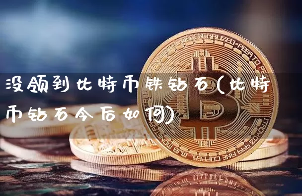 没领到比特币铁钻石(比特币钻石今后如何)_https://www.xjzxxn66.com_区块链_第1张