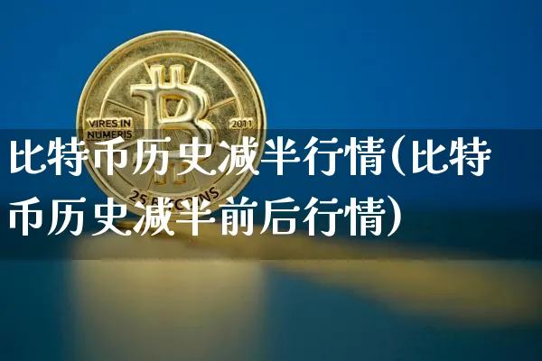 比特币历史减半行情(比特币历史减半前后行情)_https://www.xjzxxn66.com_币圈资讯_第1张
