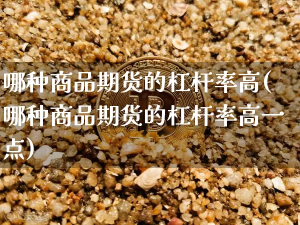 哪种商品期货的杠杆率高(哪种商品期货的杠杆率高一点)_https://www.xjzxxn66.com_未分类_第1张