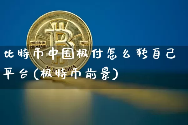 比特币中国极付怎么转自己平台(极特币前景)_https://www.xjzxxn66.com_以太坊_第1张