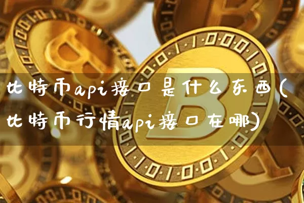 比特币api接口是什么东西(比特币行情api接口在哪)_https://www.xjzxxn66.com_比特币_第1张