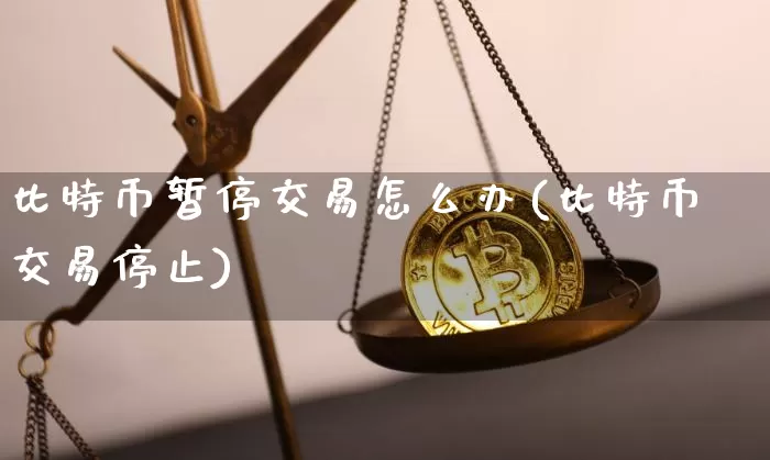 比特币暂停交易怎么办(比特币交易停止)_https://www.xjzxxn66.com_币圈资讯_第1张