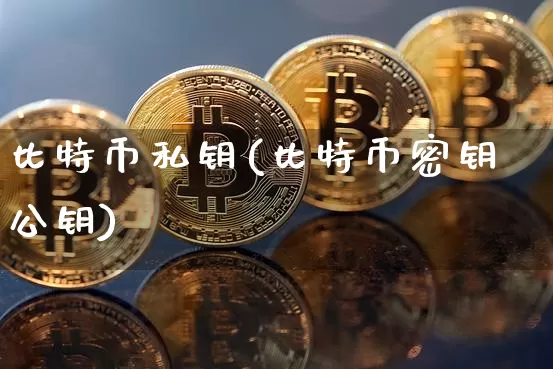比特币私钥(比特币密钥公钥)_https://www.xjzxxn66.com_以太坊_第1张