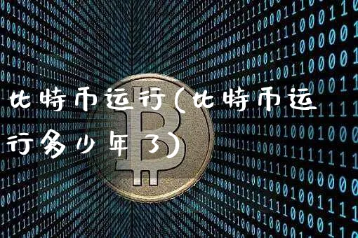 比特币运行(比特币运行多少年了)_https://www.xjzxxn66.com_比特币_第1张