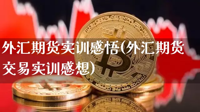 外汇期货实训感悟(外汇期货交易实训感想)_https://www.xjzxxn66.com_未分类_第1张
