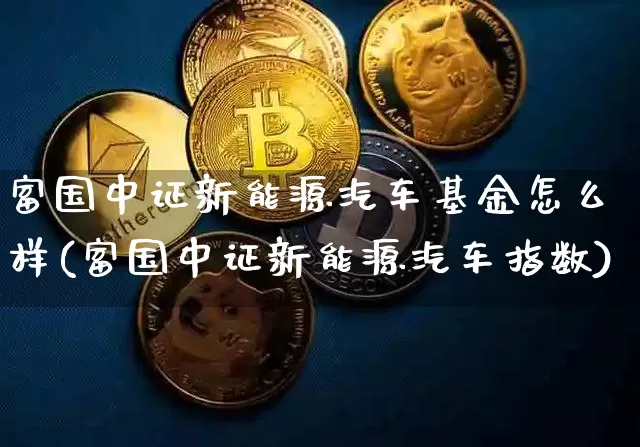 富国中证新能源汽车基金怎么样(富国中证新能源汽车指数)_https://www.xjzxxn66.com_币圈资讯_第1张