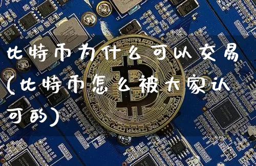 比特币为什么可以交易(比特币怎么被大家认可的)_https://www.xjzxxn66.com_以太坊_第1张