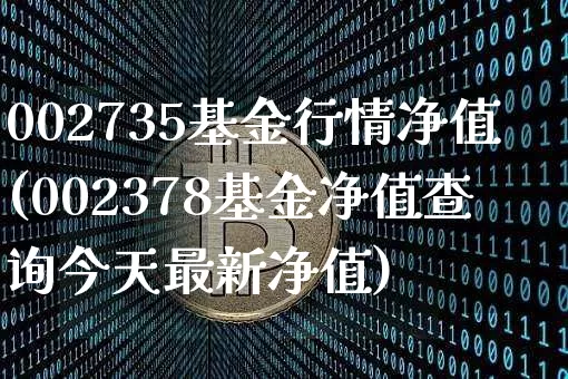 002735基金行情净值(002378基金净值查询今天最新净值)_https://www.xjzxxn66.com_币圈资讯_第1张