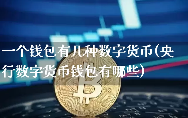 一个钱包有几种数字货币(央行数字货币钱包有哪些)_https://www.xjzxxn66.com_比特币_第1张