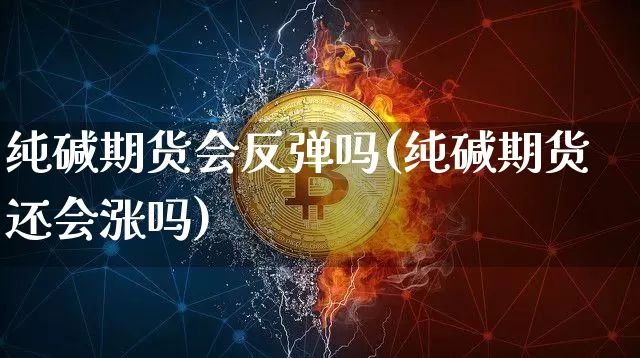 纯碱期货会反弹吗(纯碱期货还会涨吗)_https://www.xjzxxn66.com_未分类_第1张